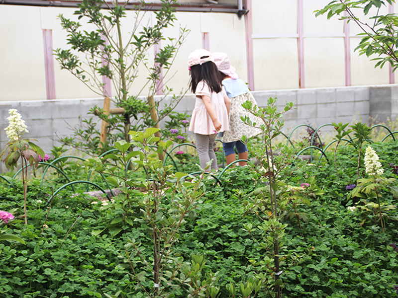 生活